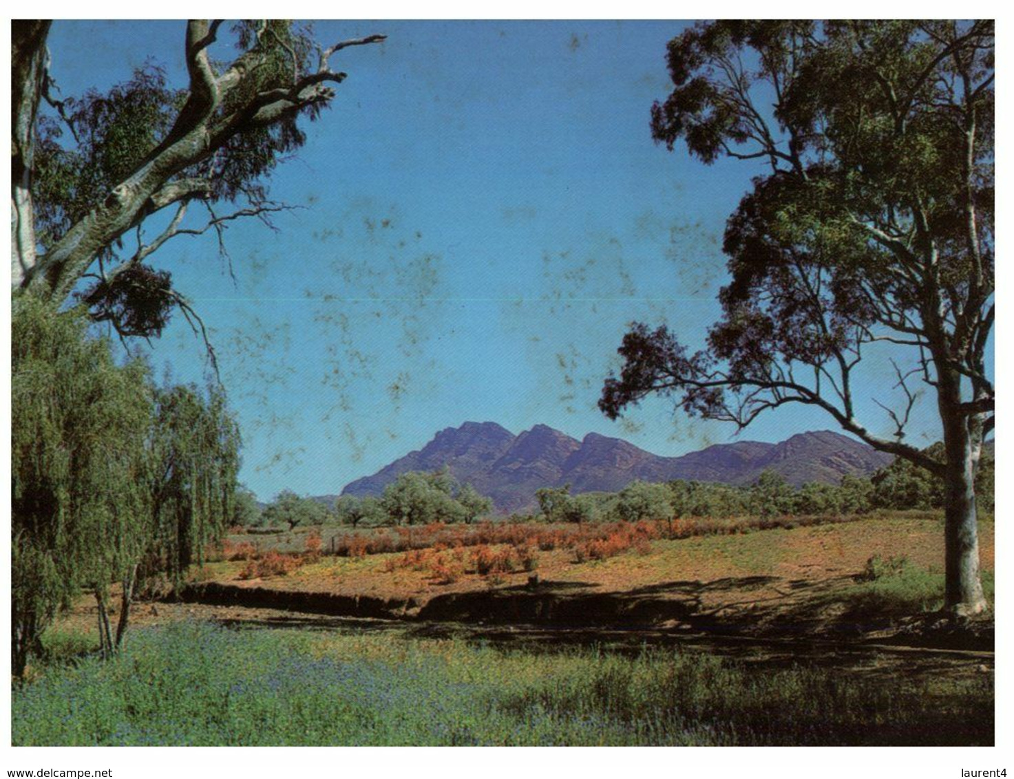 (N 23) Australia - SA - Flinders Ranges - Flinders Ranges