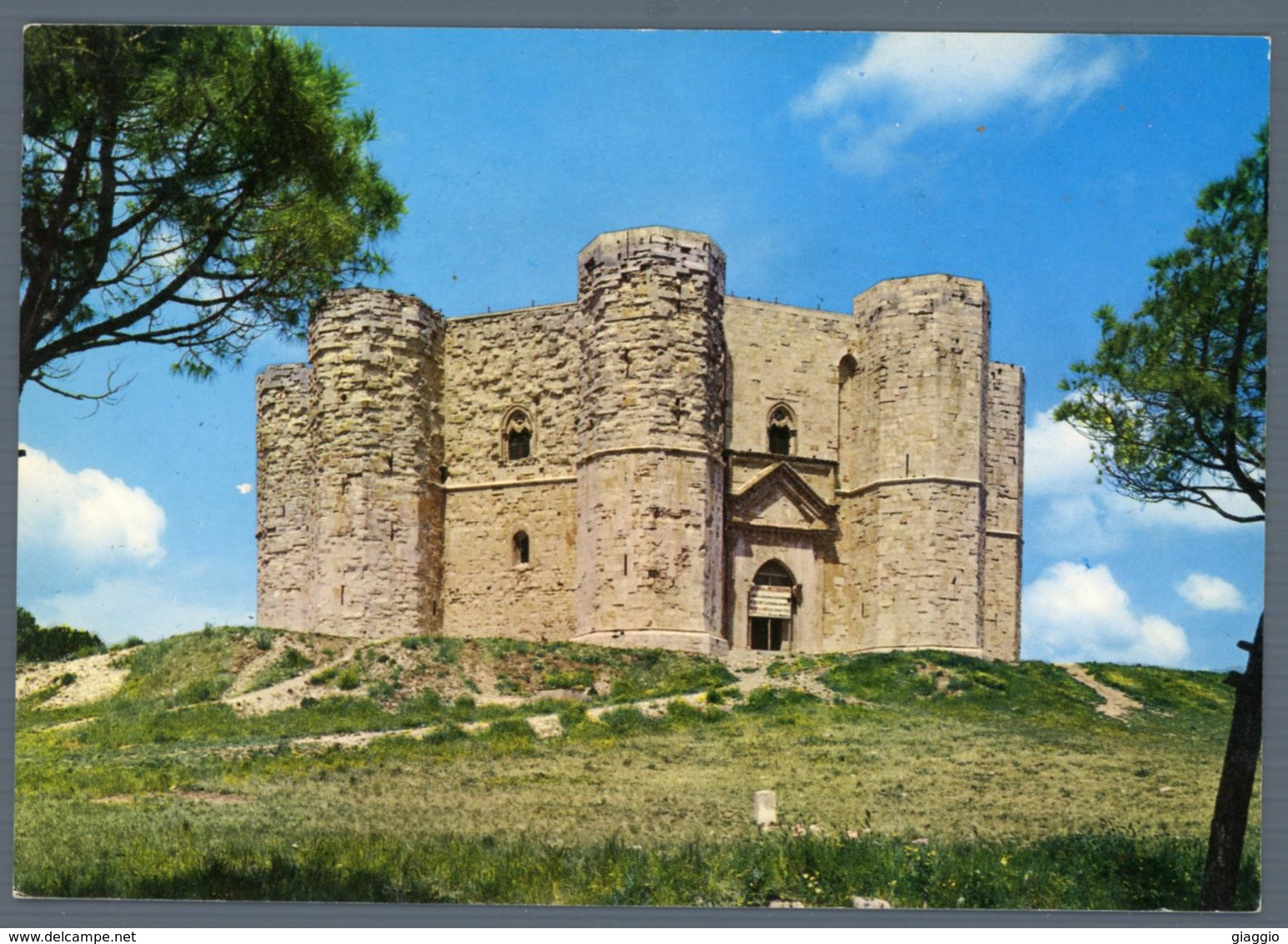 °°° Cartolina - Castel Del Monte Nuova °°° - Bari