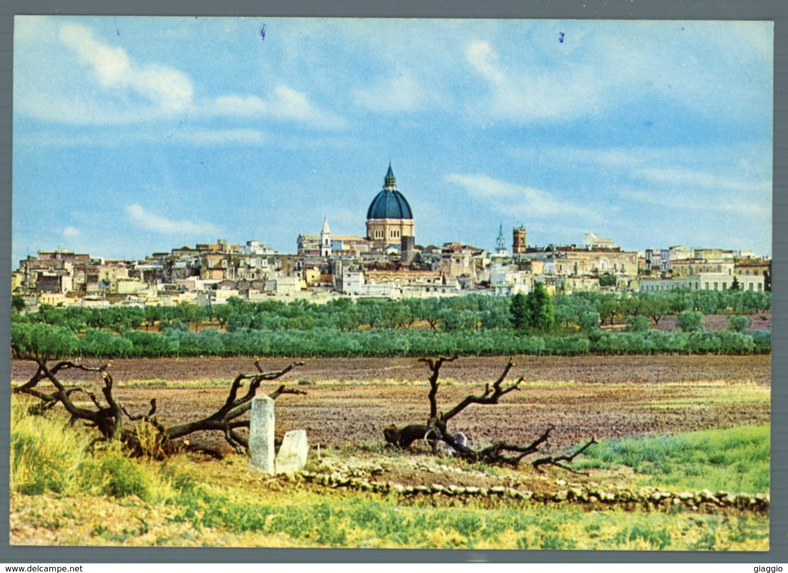 °°° Cartolina - Cerignola Scorcio Panoramico Nuova °°° - Bari