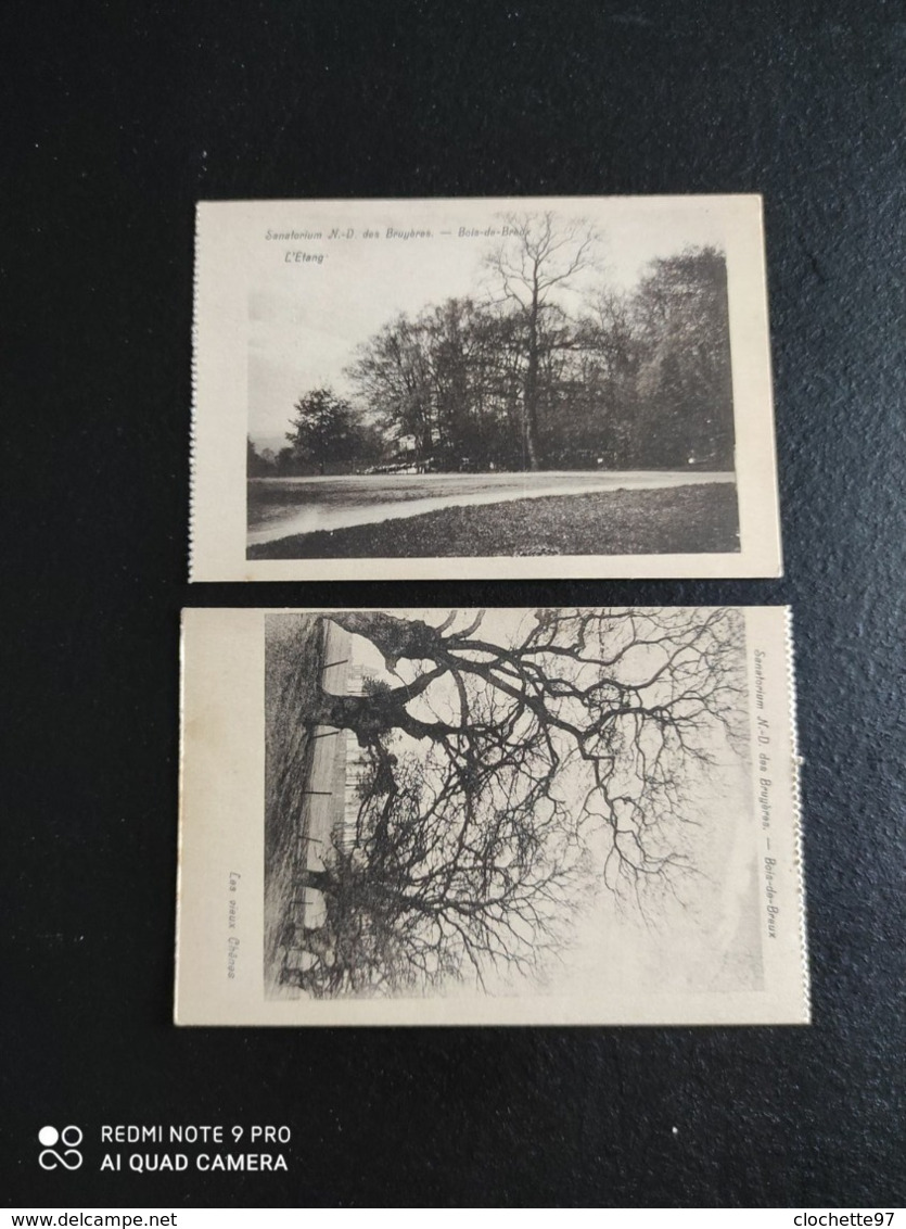 A 3142 - Lot 12 Cartes Bois De Breux - Fléron