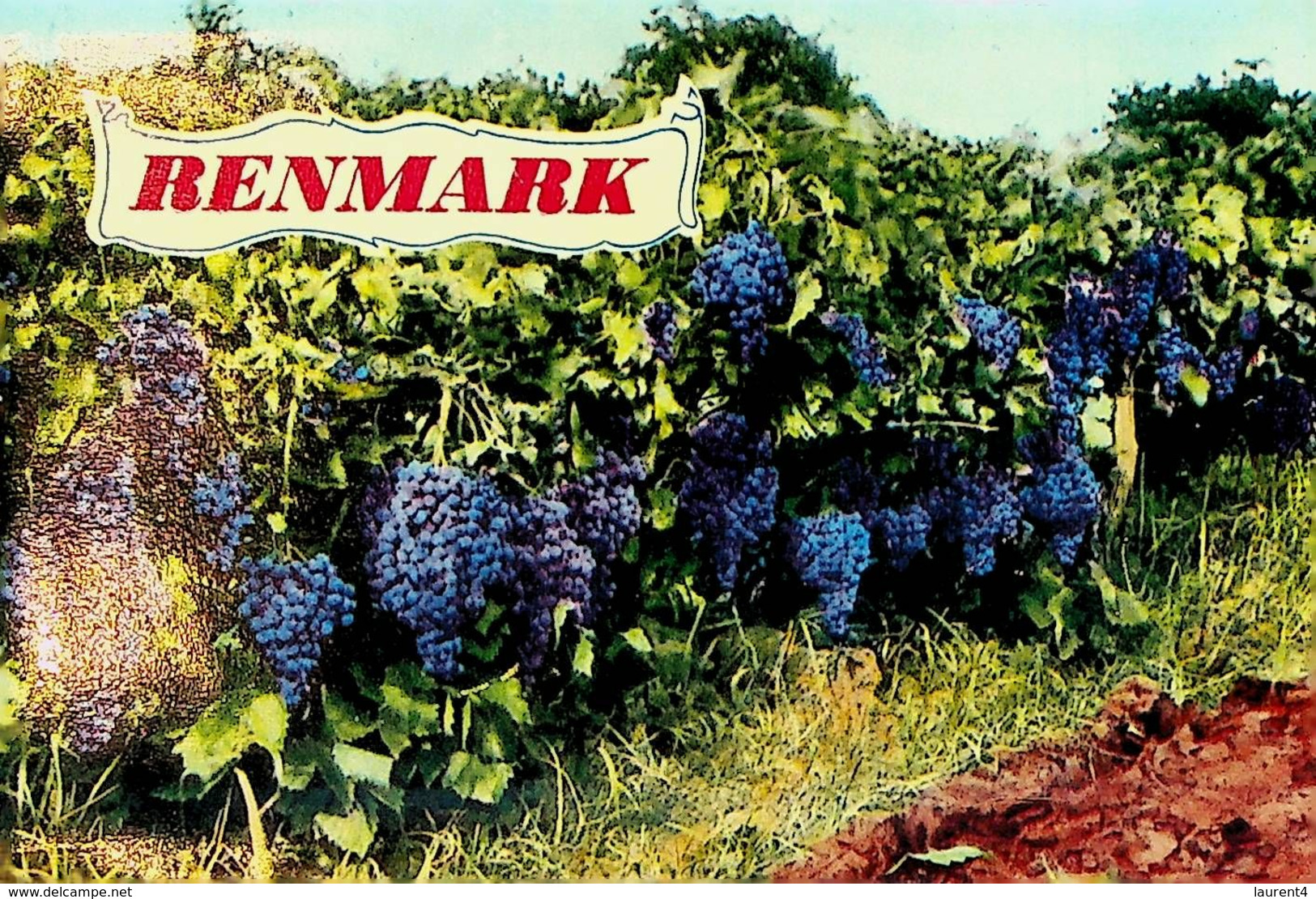 (Booklet 106) Australia - SA (older) Renmark (grapes) - Autres & Non Classés