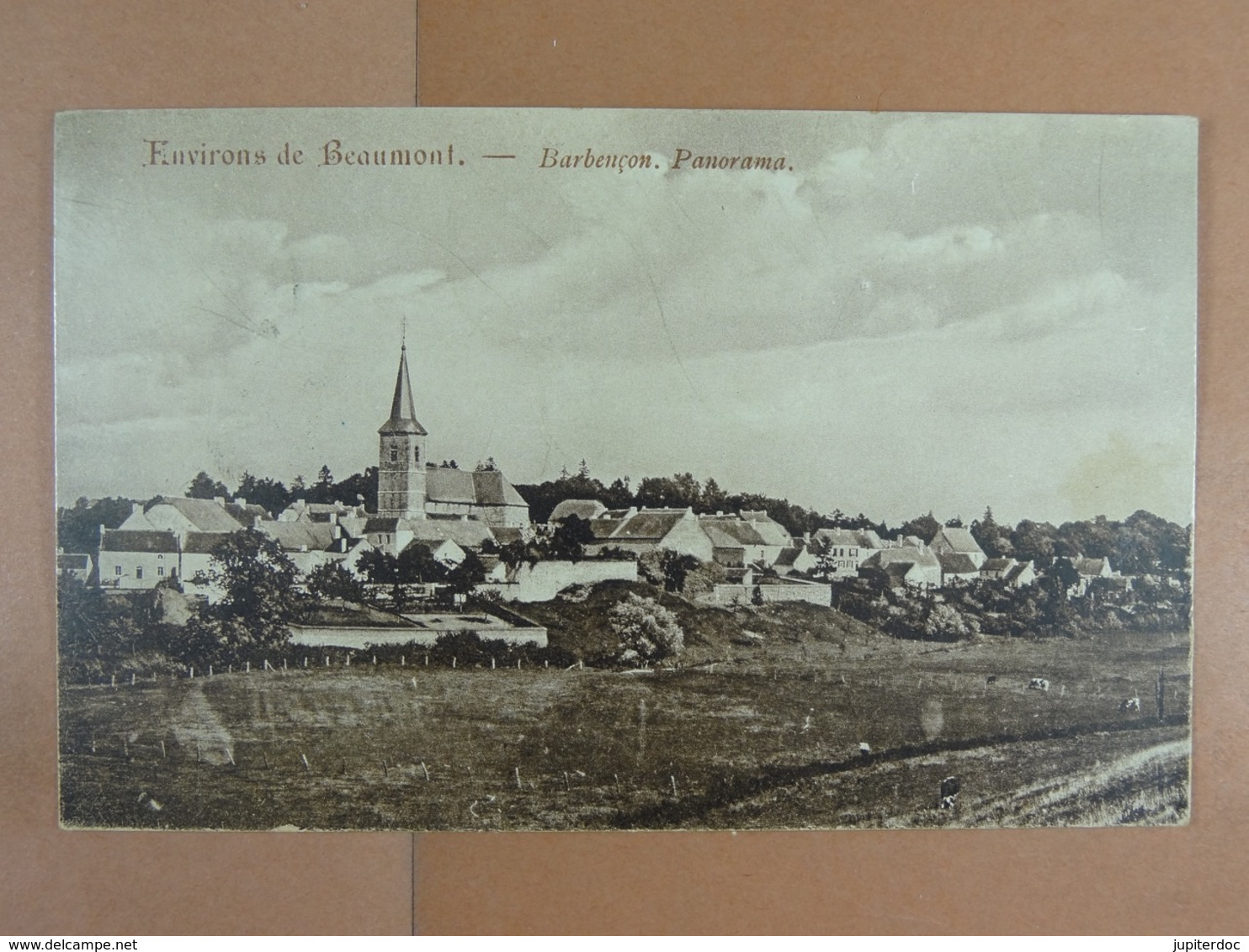 Environs De Beaumont Barbençon Panorama - Beaumont