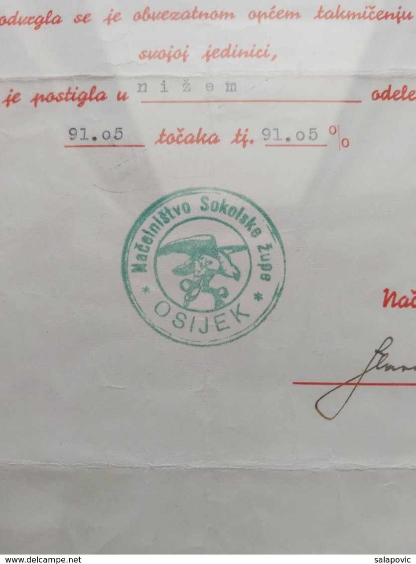 SOKOLSKA ZUPA OSIJEK 1938, KINGDOM OF JUGOSLAVIA - Gymnastiek