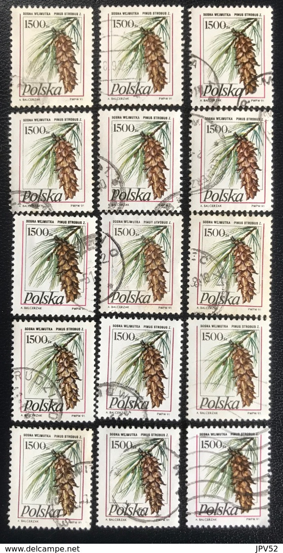 Polska - Poland - P2/60 - (°)used - 1991 - Michel Nr. 3313 - Dennenappels 15x - Collections