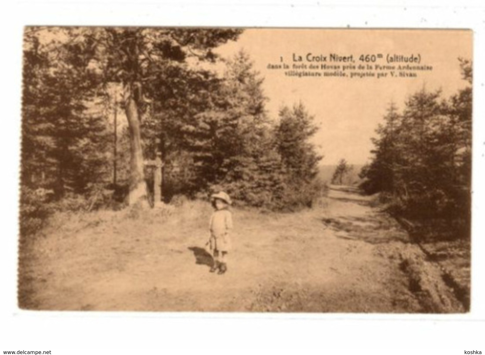 LIERNEUX - Le Croix Nivert - Forêt Des Hovas - Desaix - Lierneux