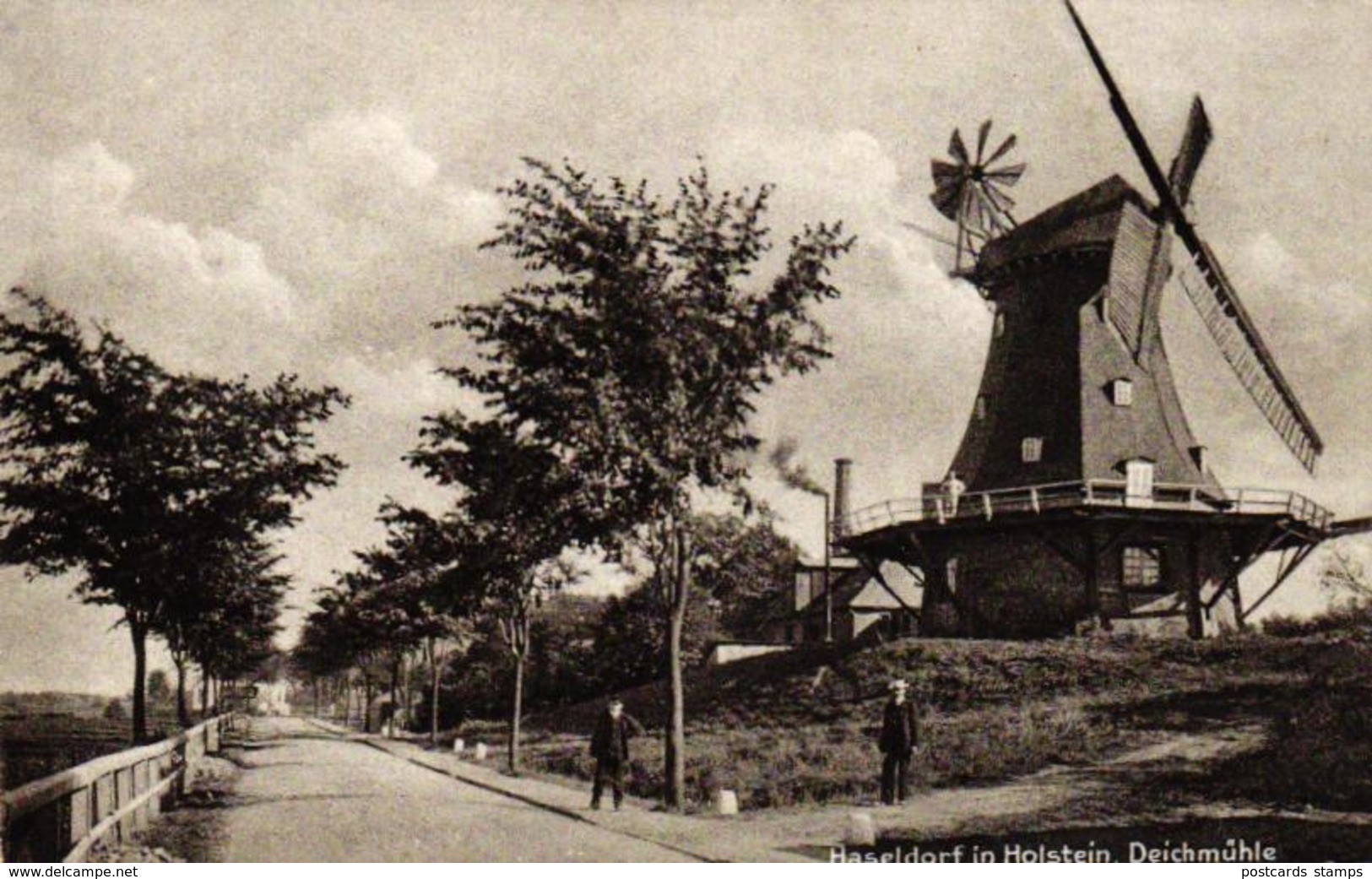 Haseldorf In Holstein, Deichmühle, Um 1910/20 - Pinneberg