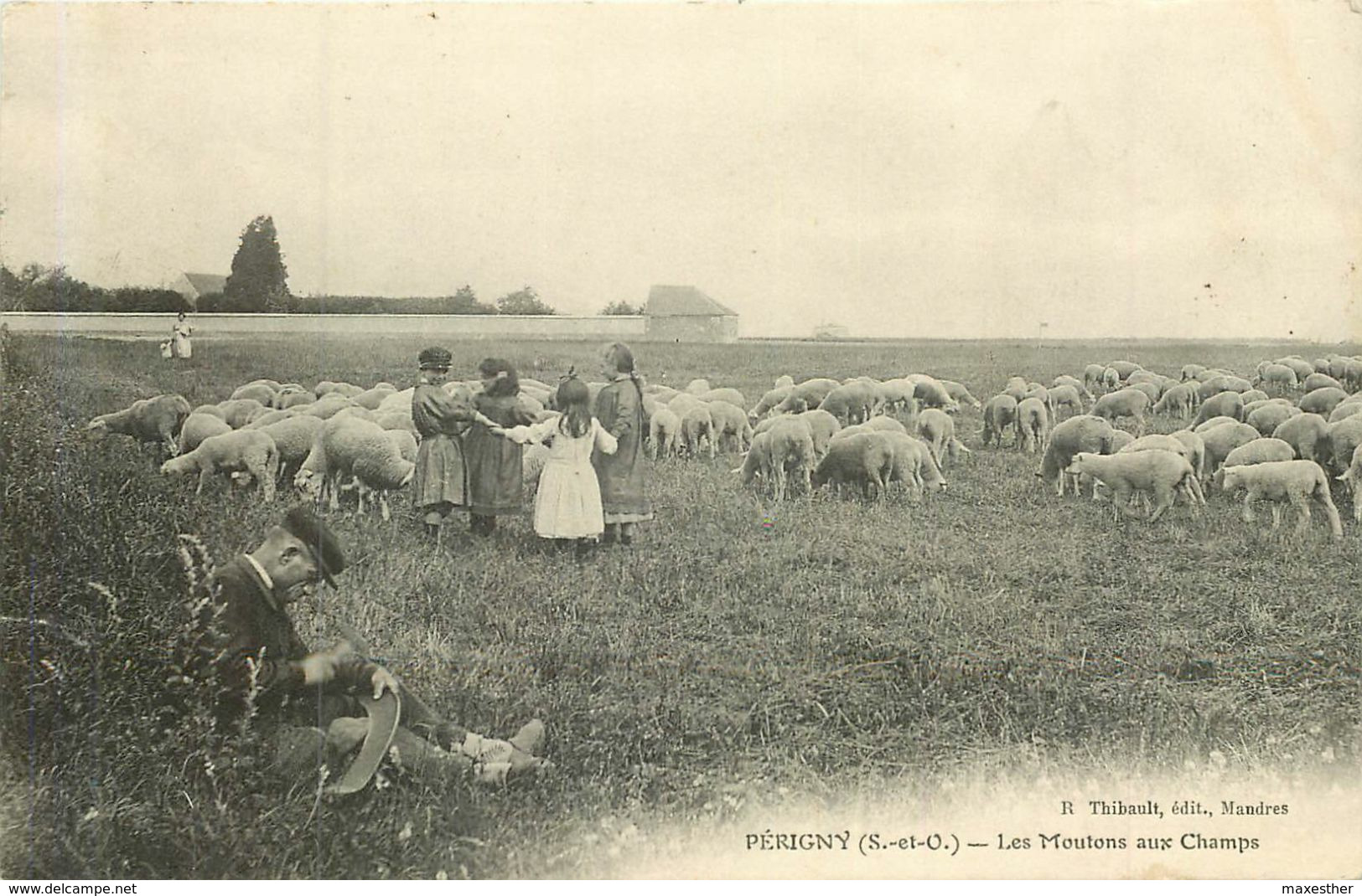PERIGNY Les Moutons Aux Champs - Perigny