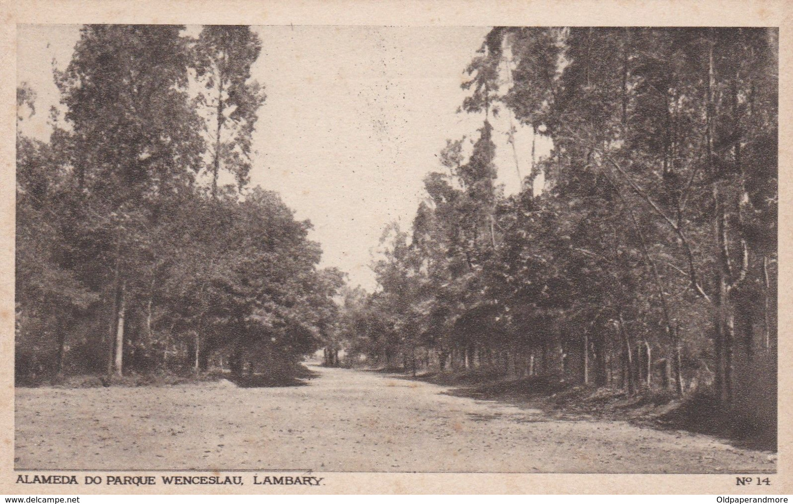 POSTCARD BRASIL BRAZIL  - ALAMEDA DO PARQUE WENCESLAU - LAMBARY - MINAS GERAIS - Belo Horizonte