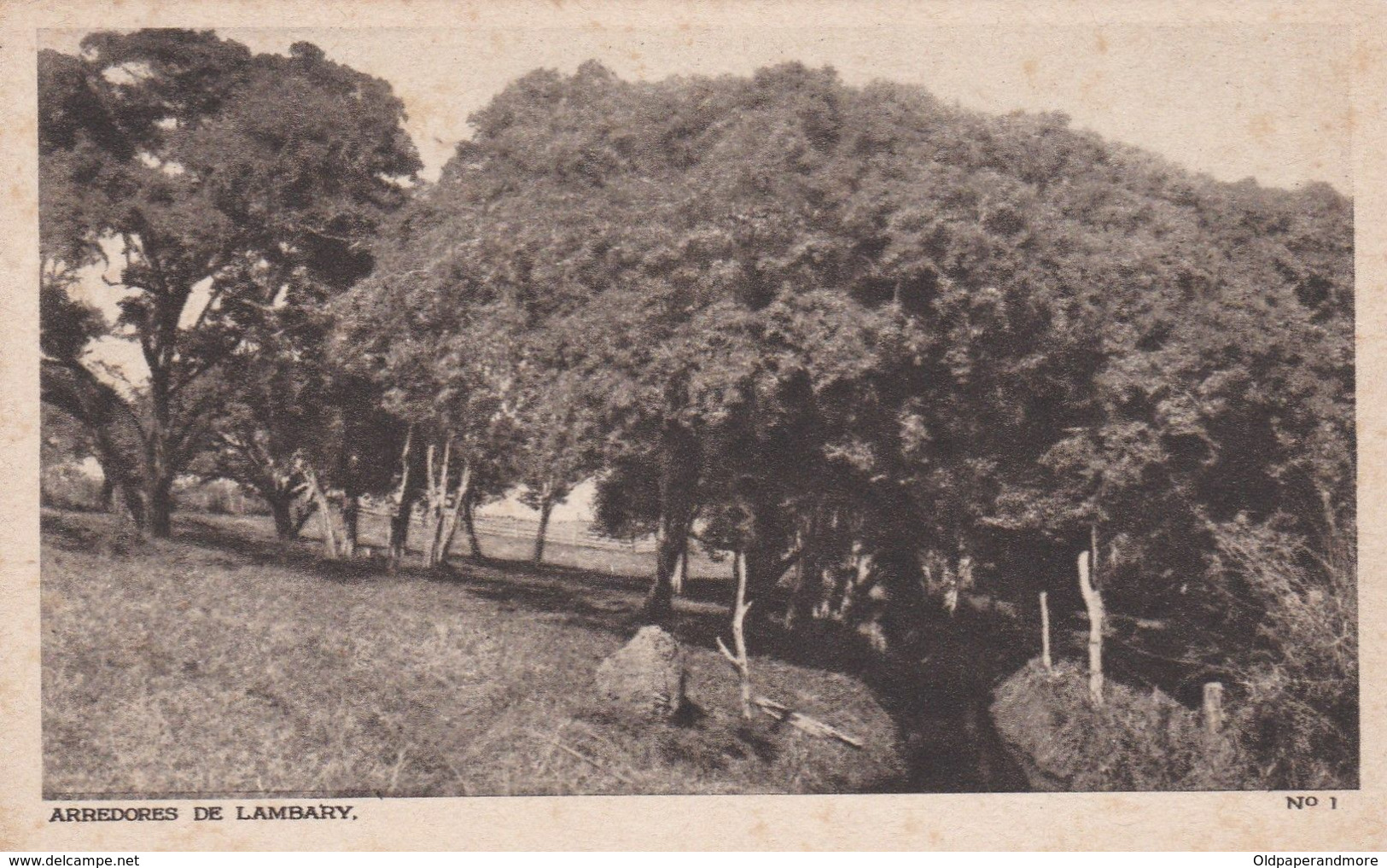 POSTCARD BRASIL BRAZIL  - ARREDORES  DE   LAMBARY - MINAS GERAIS - Belo Horizonte