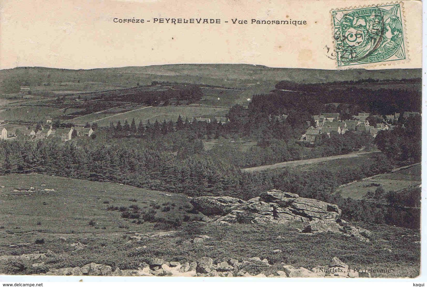 CORREZE - PEYRELEVADE - Vue Panoramique - Other & Unclassified