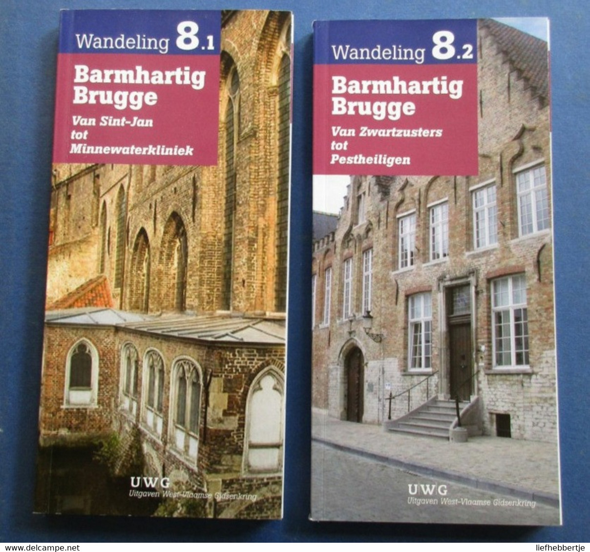 Barmhartig Brugge : Wandelingen : 1. Van Sint-Jan Tot Minnewaterskliniek - 2. Van Zwartzusters Tot Pestheiligen - Historia