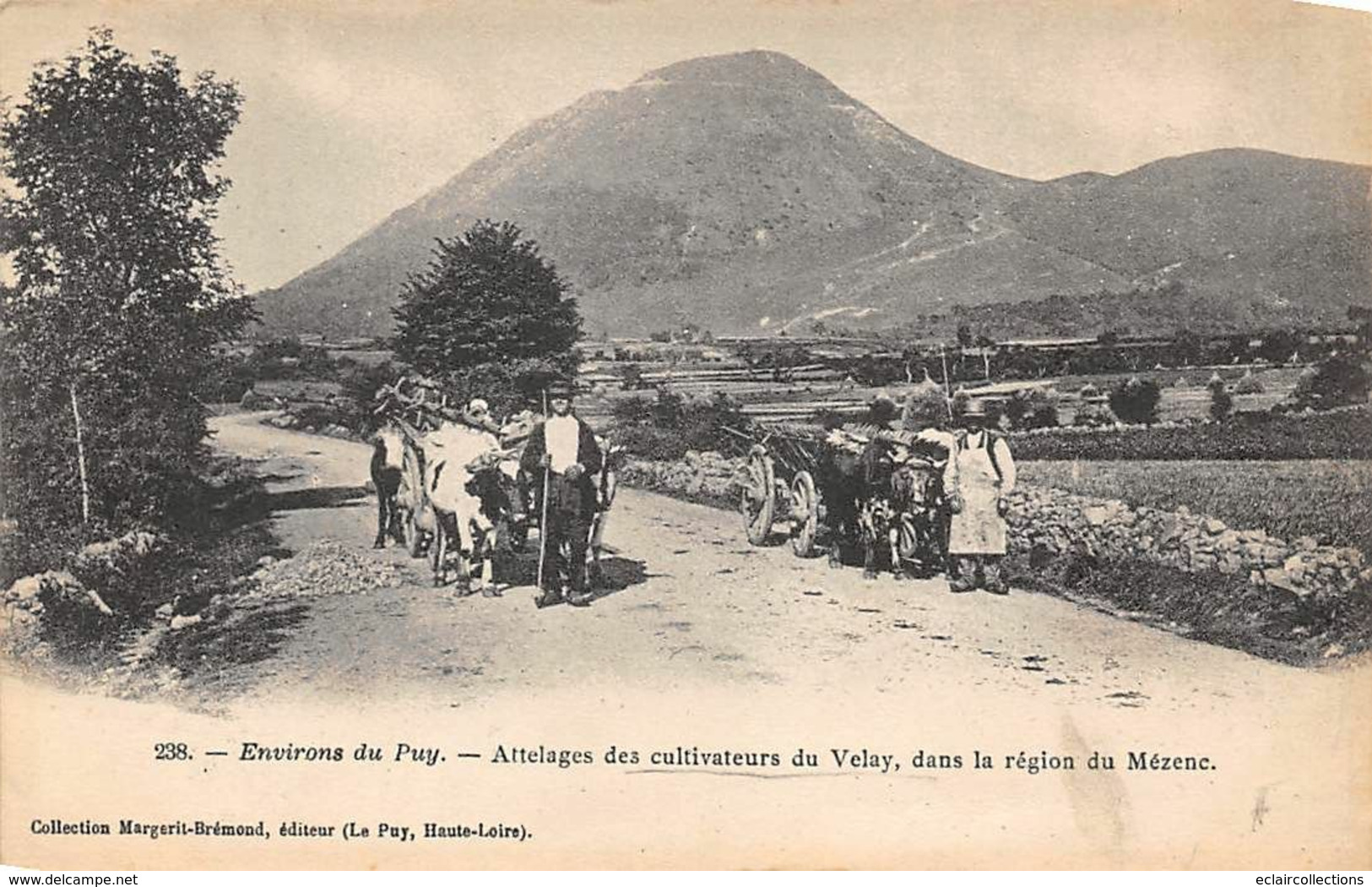 Non Localisé-Divers        43       Attelages De Cultivateurs. Région De Mézenc    (voir Scan) - Andere & Zonder Classificatie