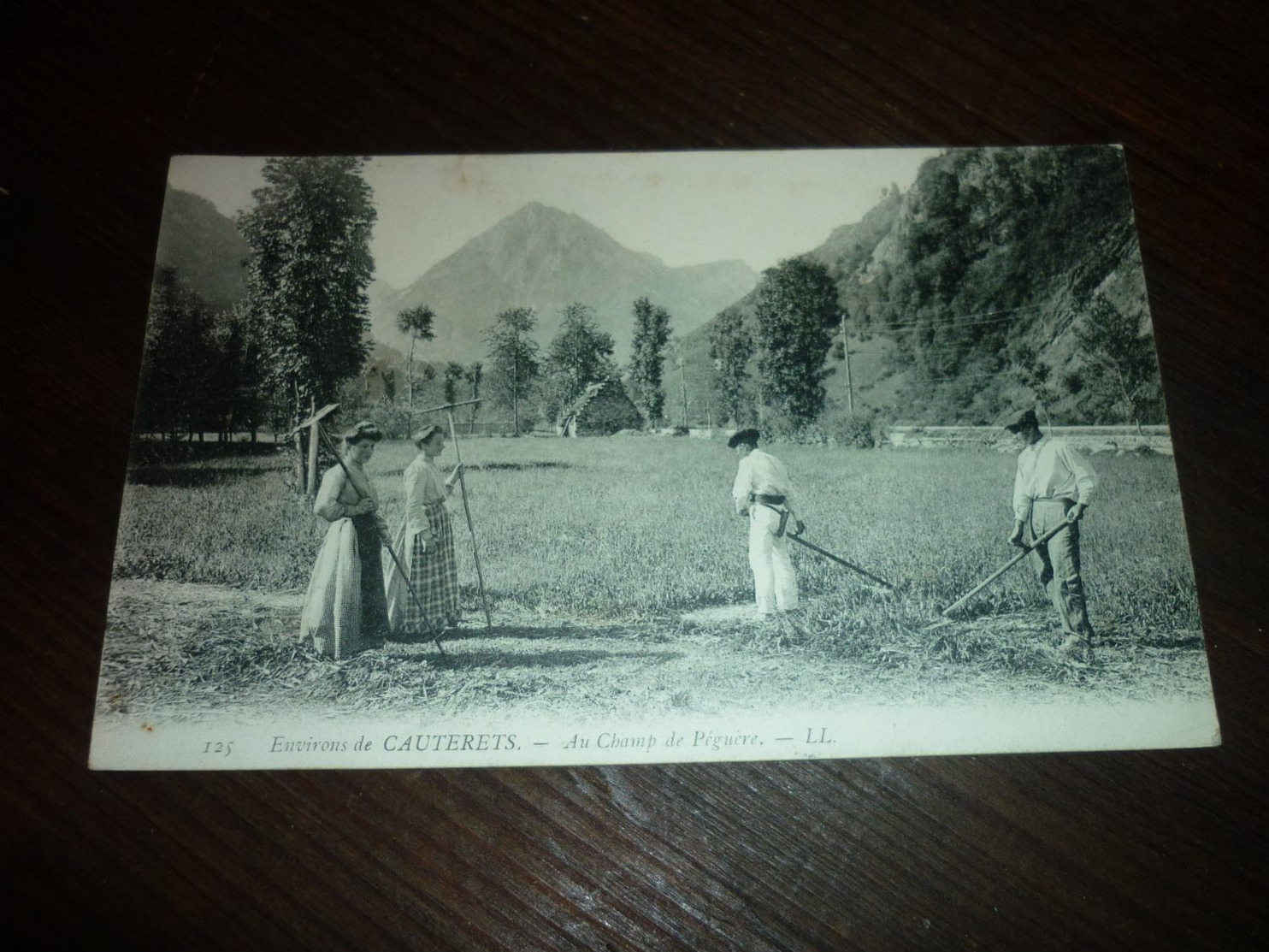 Carte Postale Hautes Pyrénées Environs De Cauterets Paysans Au Champ De Péguère Animee - Cauterets