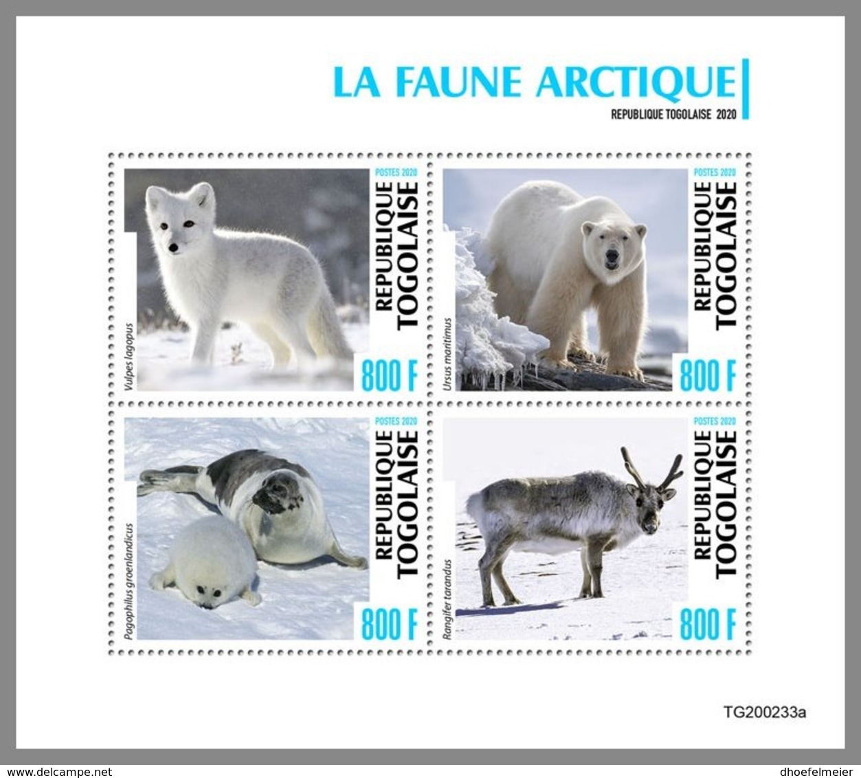 TOGO 2020 MNH Arctic Fauna Arktische Tierwelt Faune Arctique M/S - IMPERFORATED - DHQ2036 - Arctic Wildlife