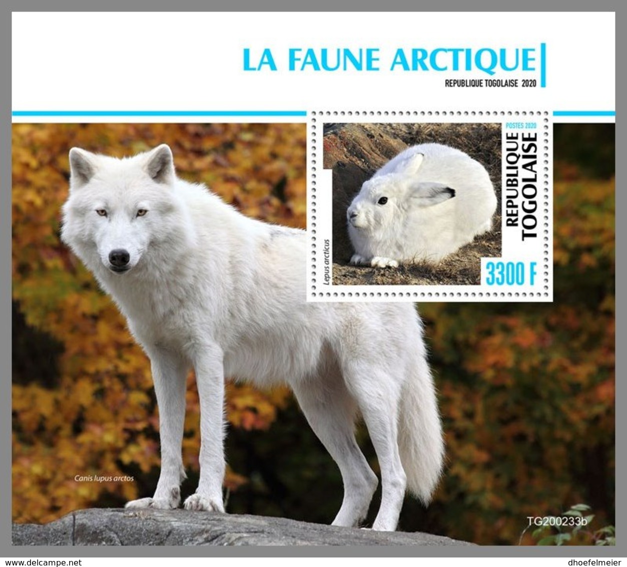 TOGO 2020 MNH Arctic Fauna Arktische Tierwelt Faune Arctique S/S - IMPERFORATED - DHQ2036 - Arctic Tierwelt