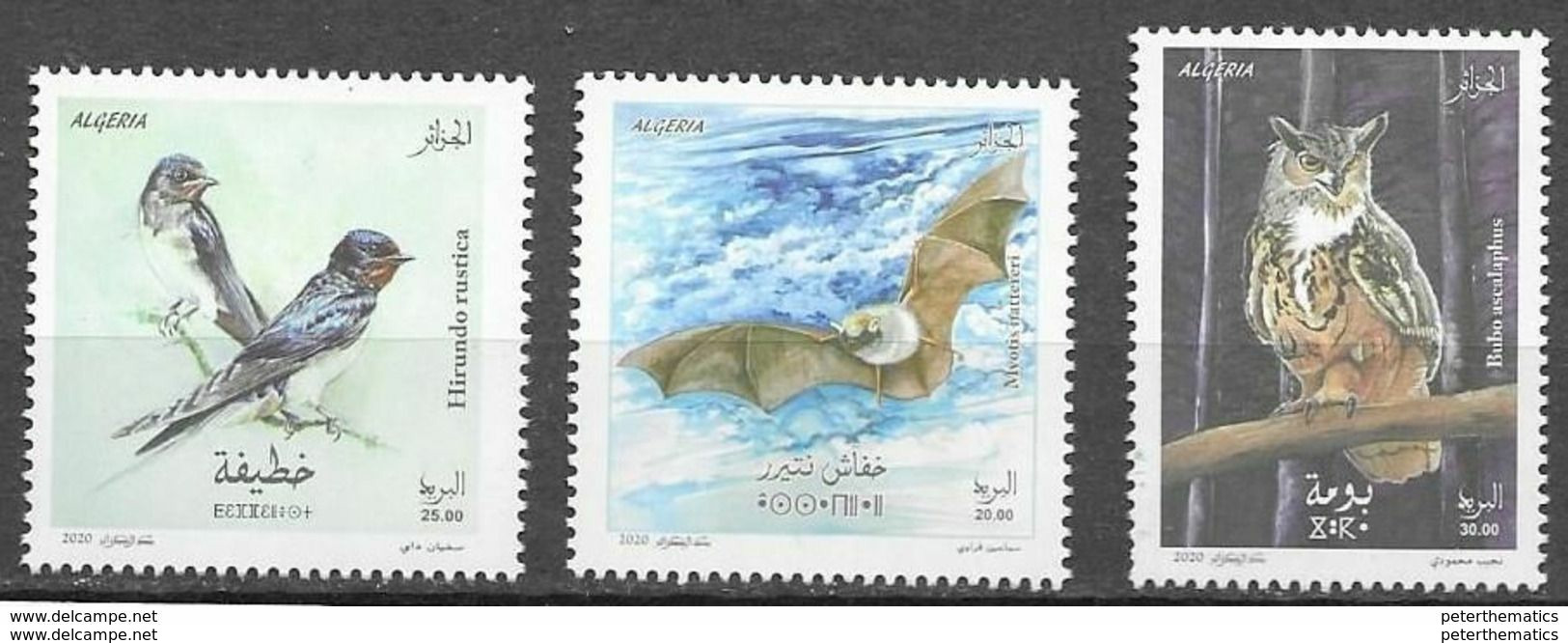 ALGERIA, 2020, MNH, BIRDS, BATS, OWLS, 3v - Uilen