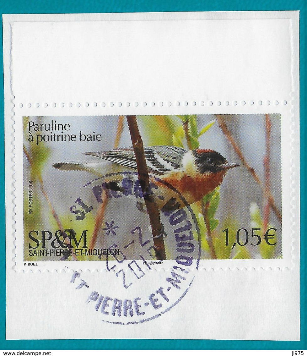 St.Pierre Et Miquelon 2019 Oblitéré YT 1214 Oiseau " Paruline à Poitrine Baie "  Cachet  St.Pierre . - Used Stamps