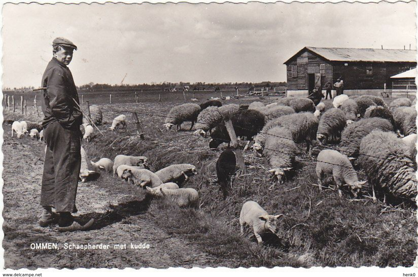 Ommen Schaapherder Met Kudde Schapen SN28 - Ommen