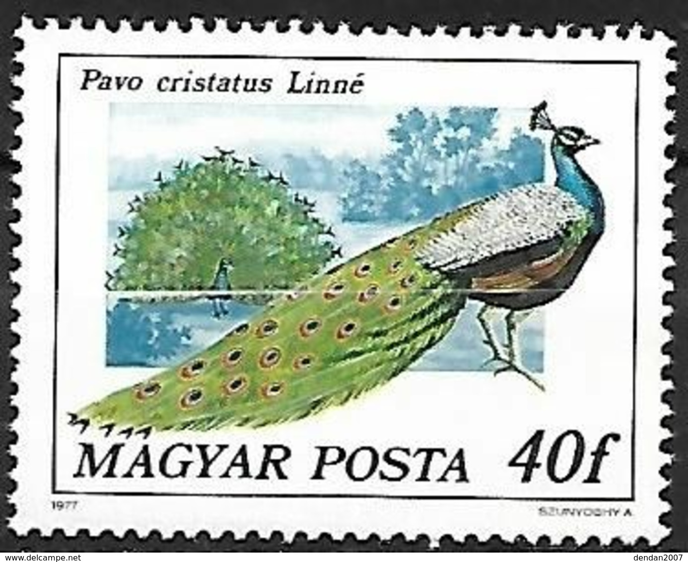 Hungary - MNH ** 1977 :    Indian Peafowl    Pavo Cristatus - Paons