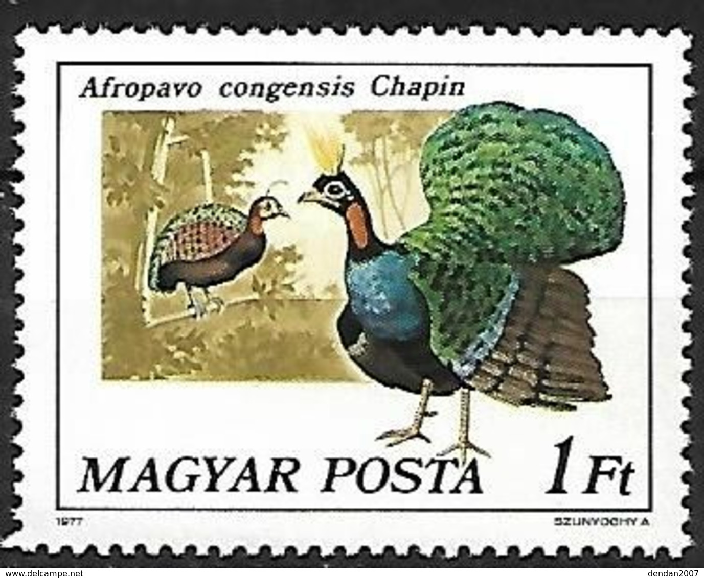 Hungary - MNH ** 1977 :    Congo Peafowl  -  Afropavo Congensis - Paons