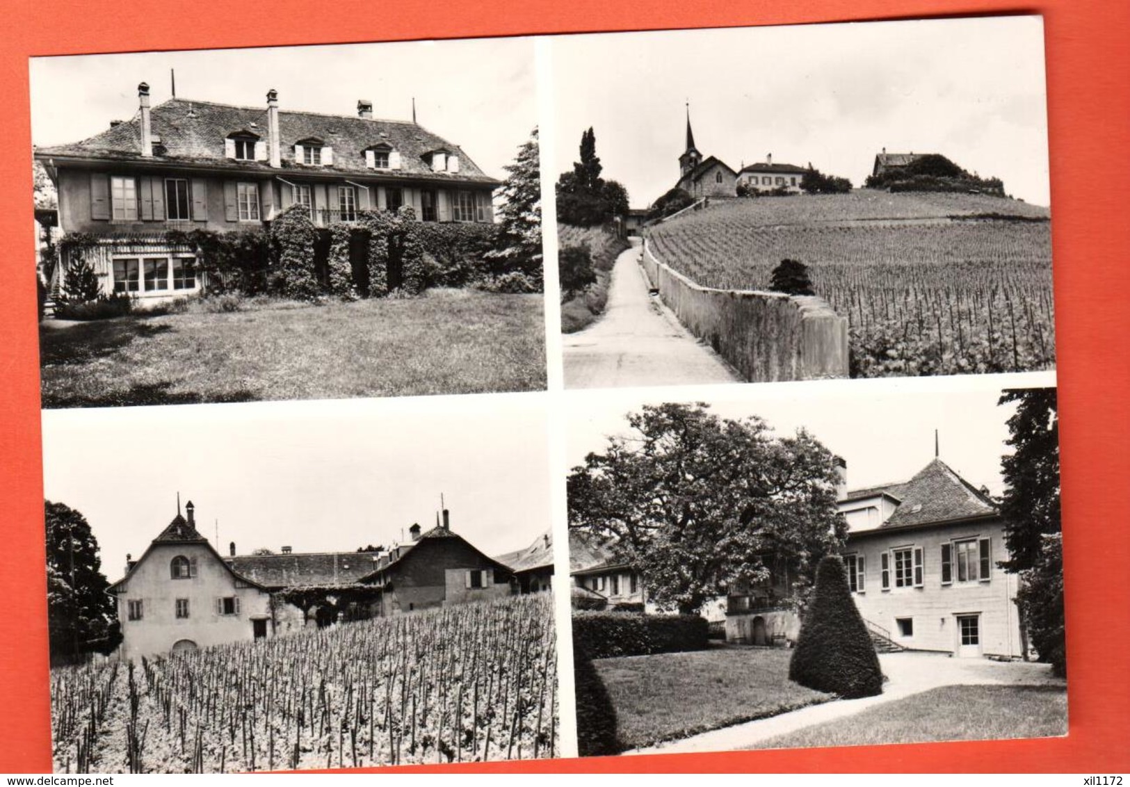 CAB-30 Féchy Multivues Château Et Vignes, EMS. Chemin De La Crausaz. Non Circulé Grand Format  No 10096 - Féchy