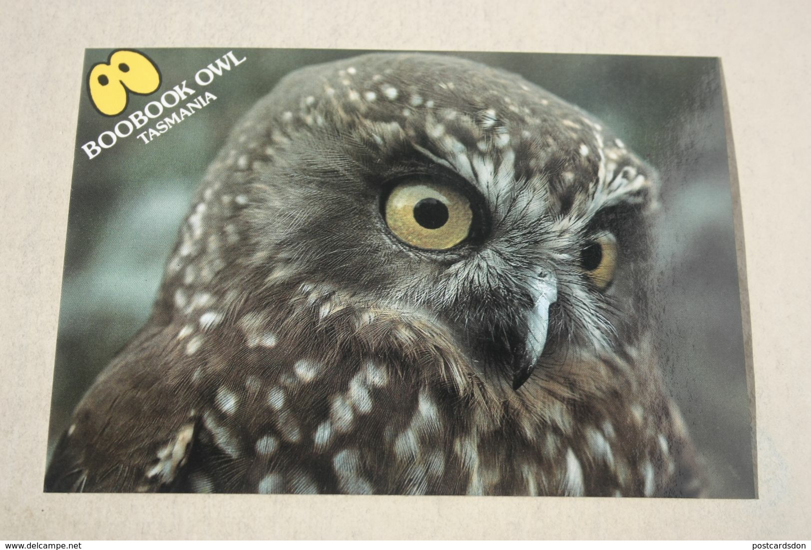 Old Postcard -  Tasmania  - Owl Bird - Autres & Non Classés