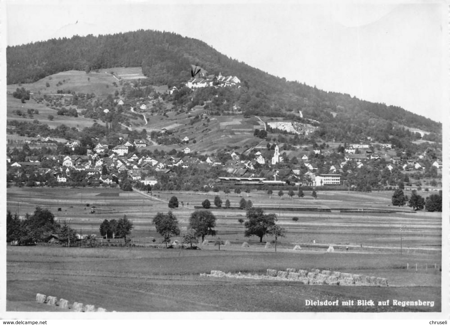 Dielsdorf  Fliegeraufnahme - Dielsdorf