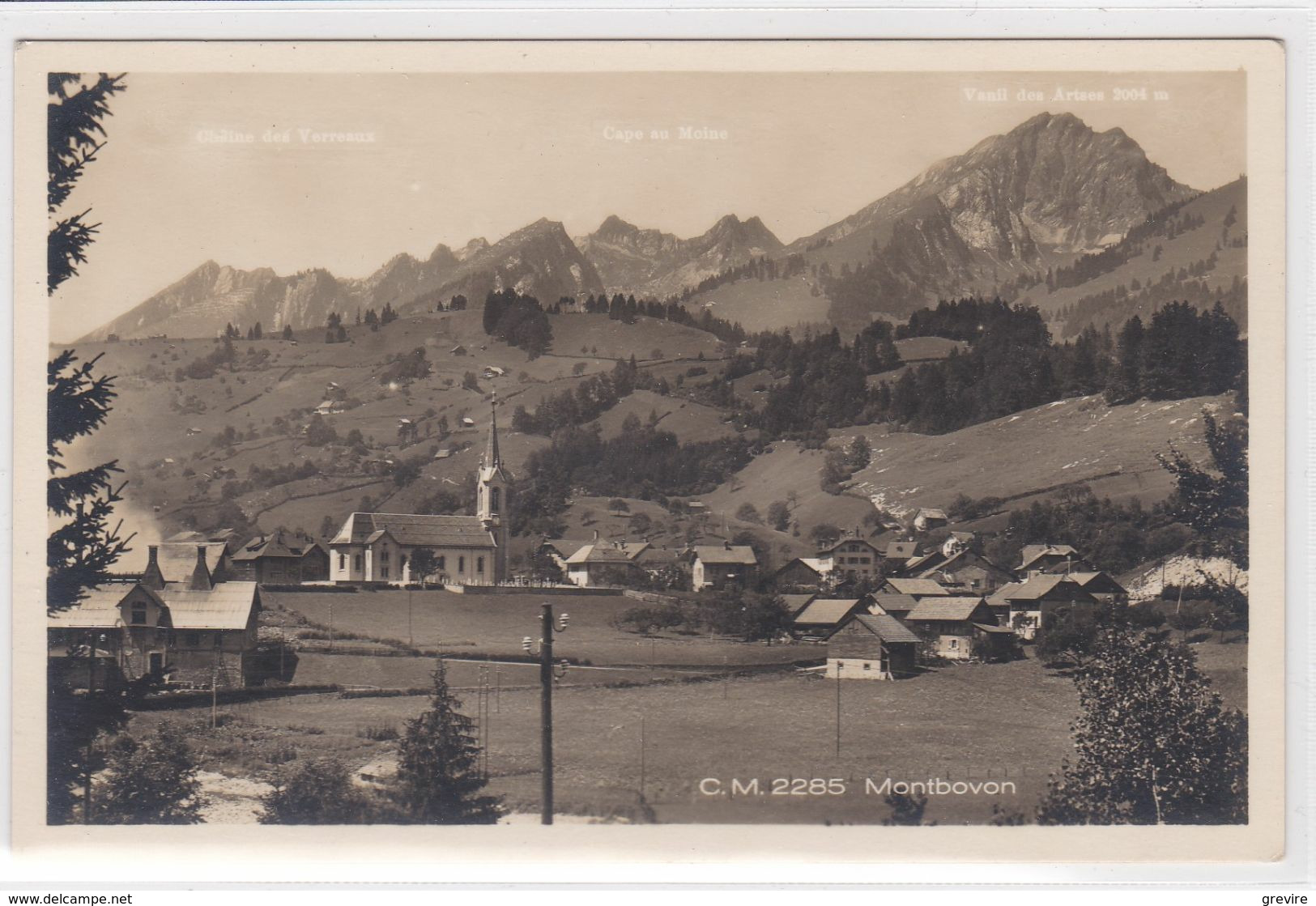 Montbovon - Vue Générale. Fabrique De Carbure. Carte Photo - Montbovon