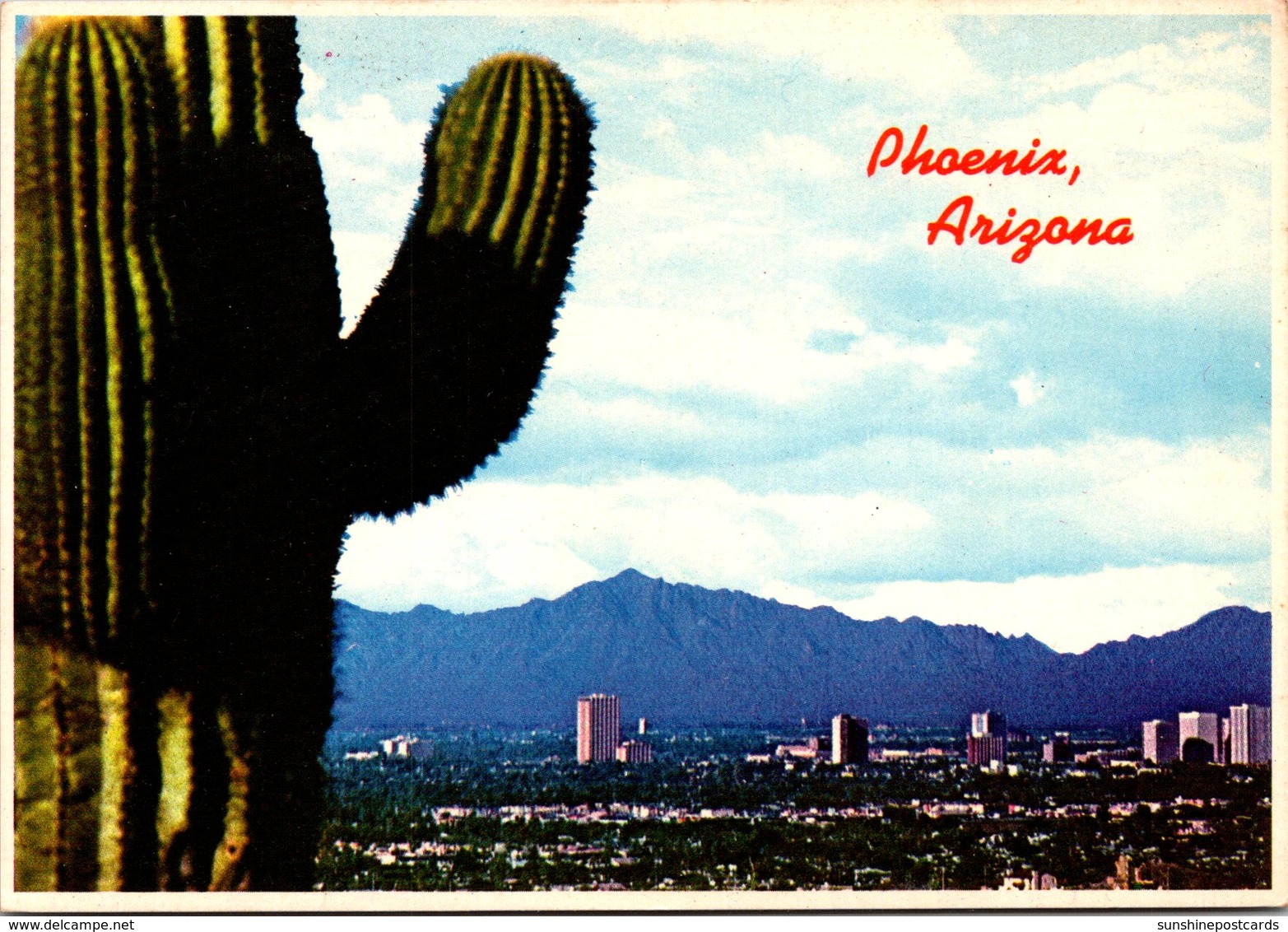 Arizona Phoenix Giant Saguaro Cactus - Phoenix