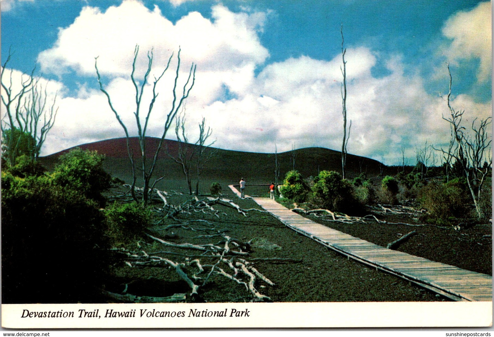 Hawaii Big Island Hawaii Volcanoes National Park Devastation Trail - Big Island Of Hawaii