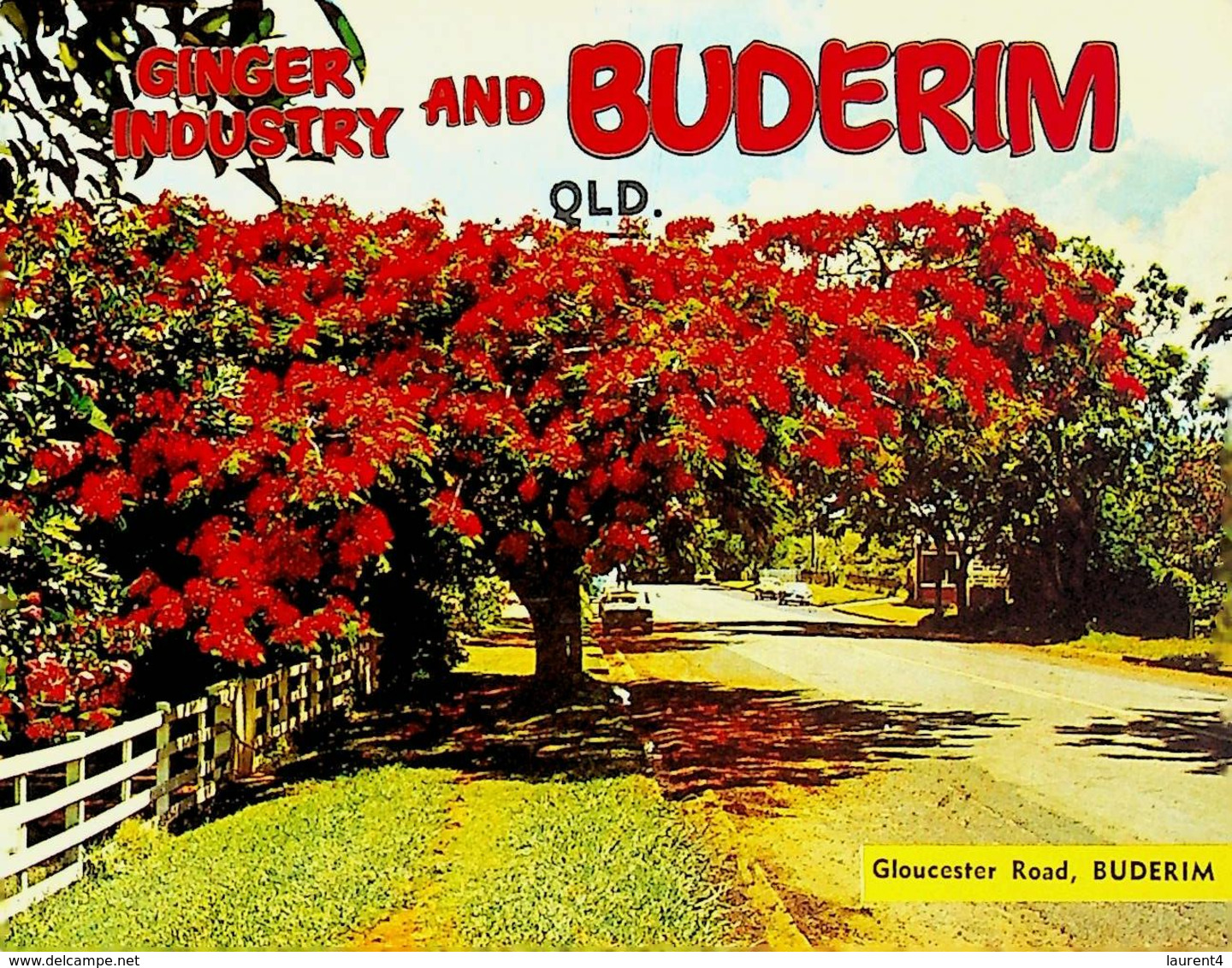 (Booklet 106) Australia - QLD - Bunderim (with Flowering Tree) Ginger Industry - Sunshine Coast