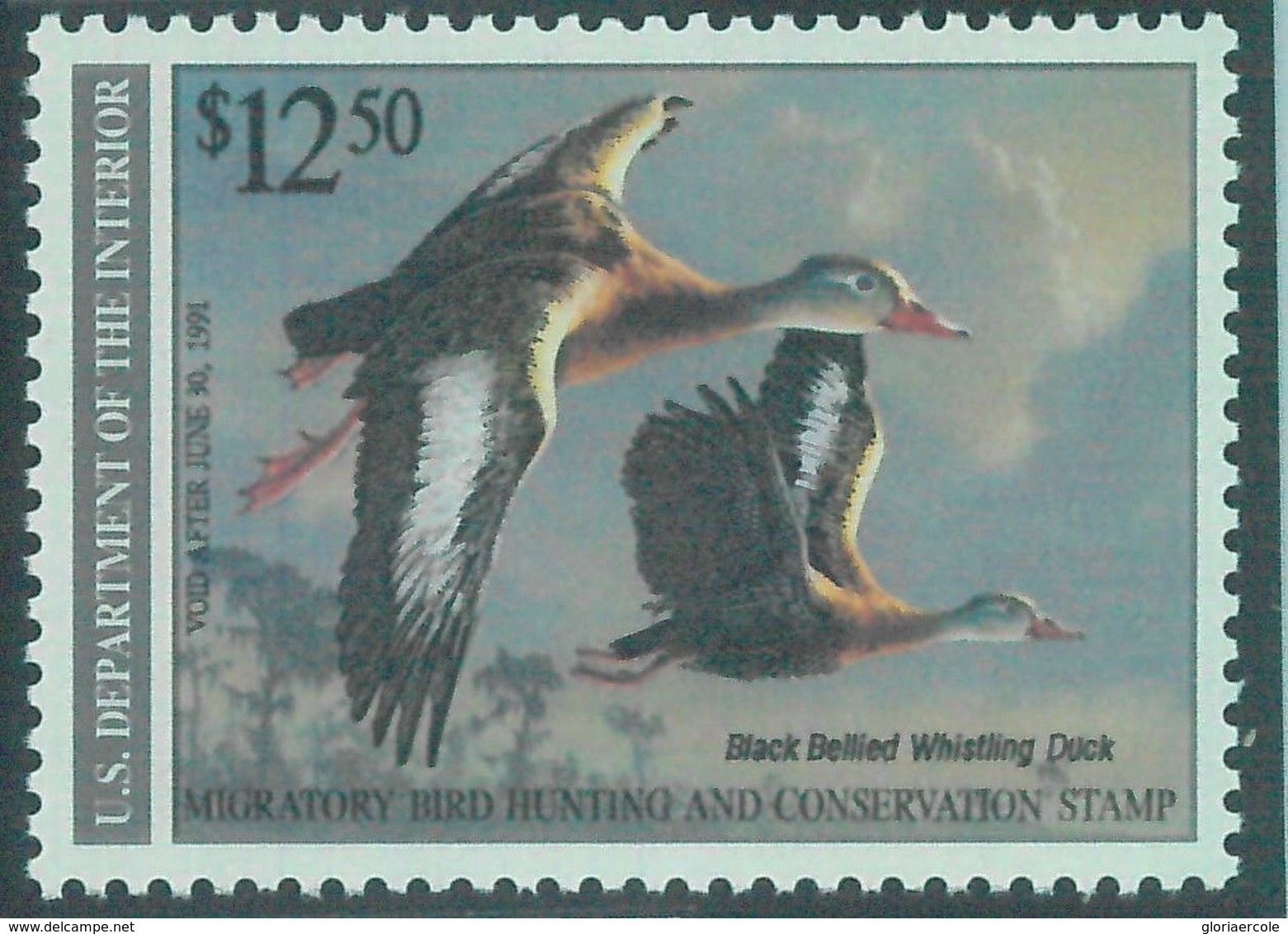 90223b -  USA - STAMPS: SCOTT # RW57  Migratory Bird Hunting Stamp MINT MNH 1990 - Duck Stamps