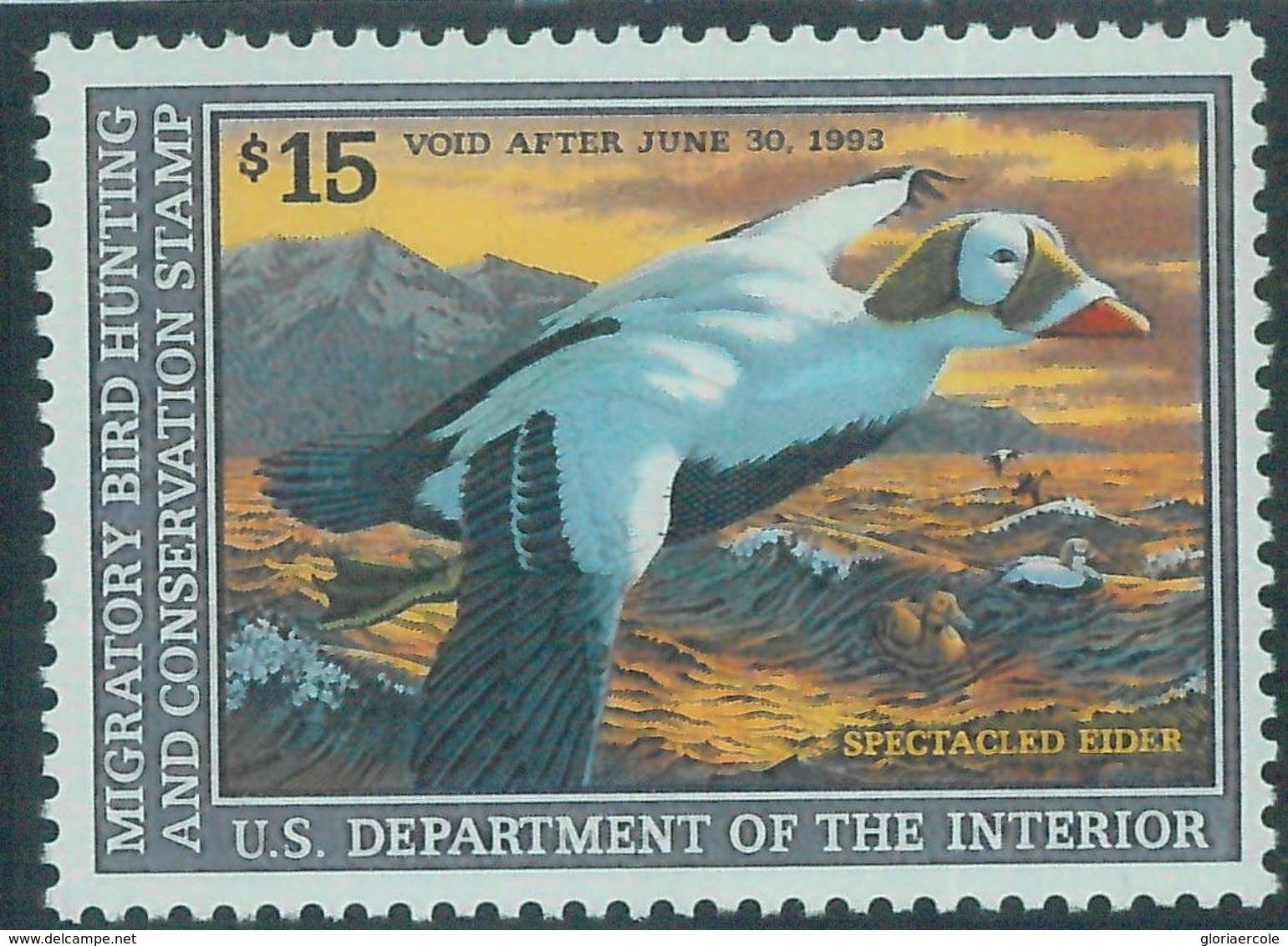 90223d -  USA - STAMPS: SCOTT # RW59  Migratory Bird Hunting Stamp MINT MNH 1992 - Duck Stamps