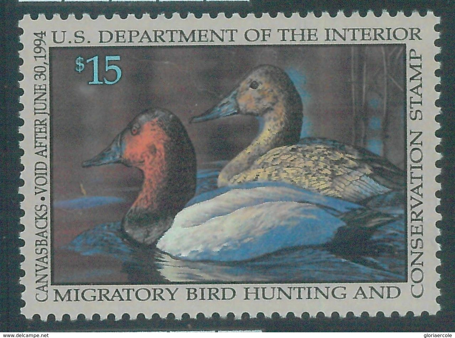 90223e -  USA - STAMPS: SCOTT # RW60  Migratory Bird Hunting Stamp MINT MNH 1993 - Duck Stamps