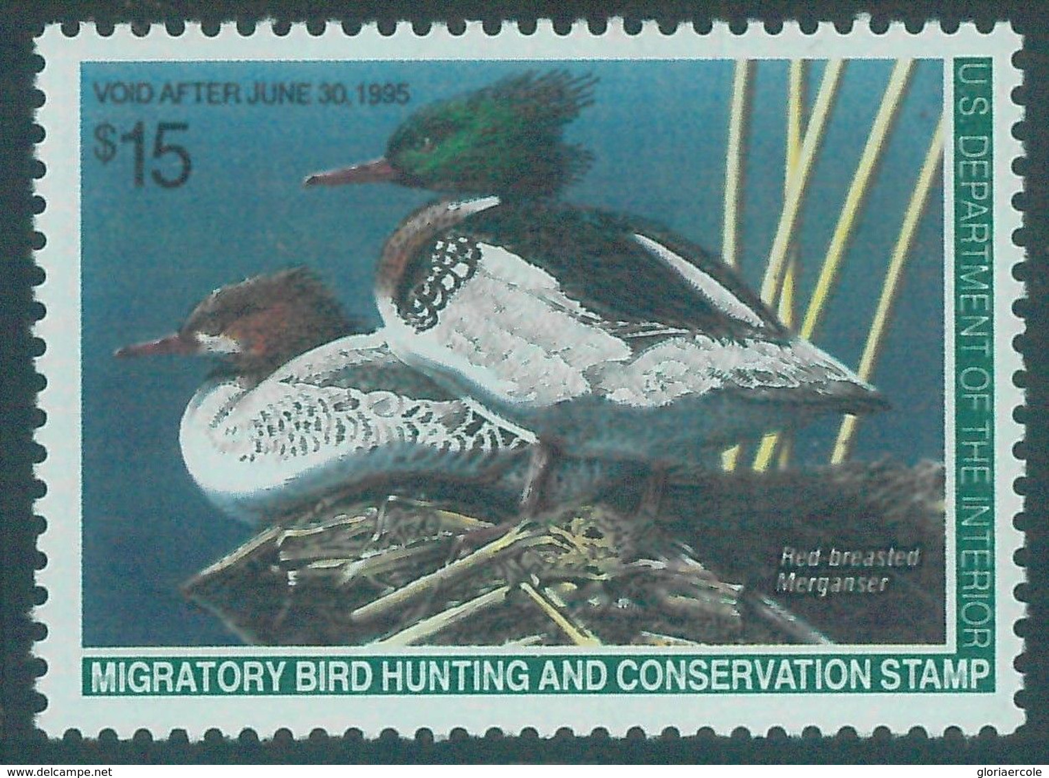 90223f -  USA - STAMPS: SCOTT # RW61  Migratory Bird Hunting Stamp MINT MNH 1994 - Duck Stamps