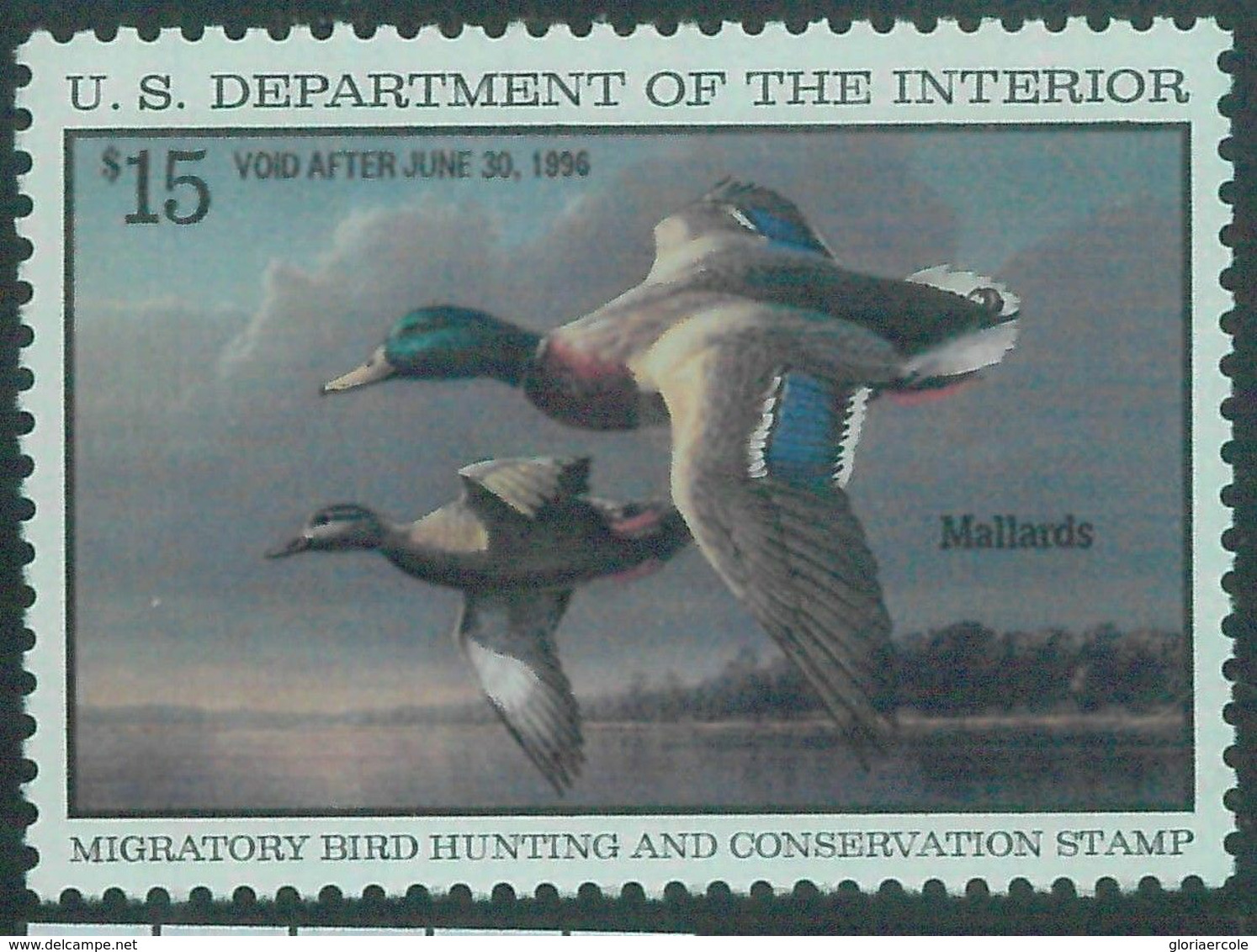 90224a -  USA - STAMPS: SCOTT # RW62  Migratory Bird Hunting Stamp MINT MNH 1995 - Duck Stamps