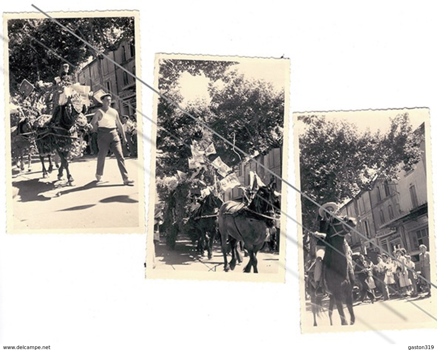 Chateau Renard - Fetes - 1958 - Animaux - Plaatsen