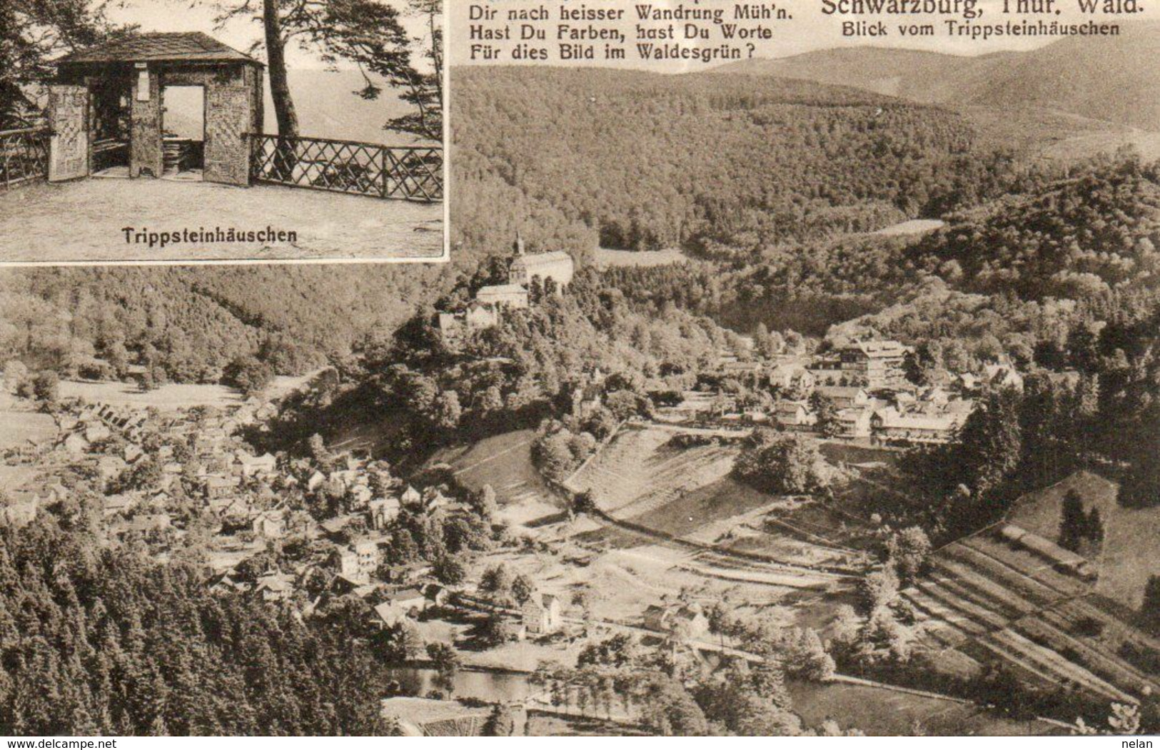 SCHWARZBURG - BLICK VOM TRIPPSTEINHAUSCHEN - Triptis