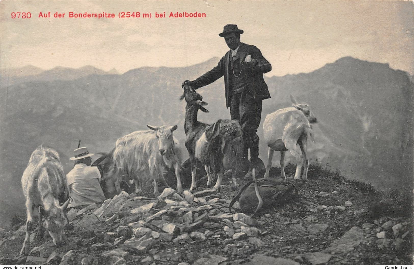 Auf Der Bonderspitze Bei Adelboden -  Schäfer -  Ziege -  Ziegenherde - - Adelboden