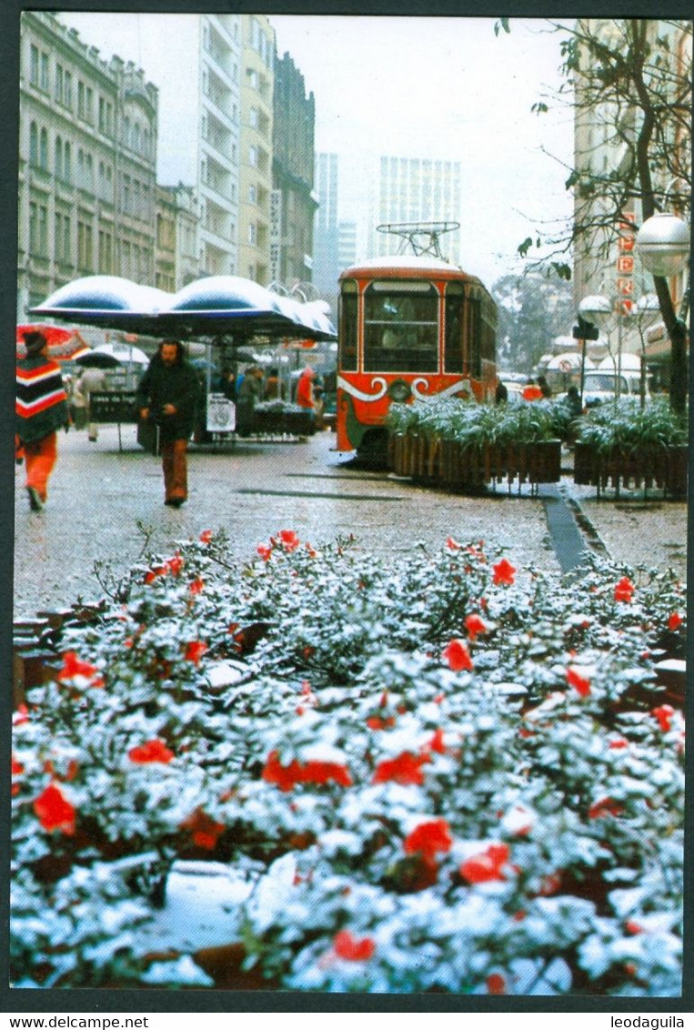 BRAZIL - TRAM  AT FLOWERS  STREET  - CURITIBA -  UNUSED - Curitiba