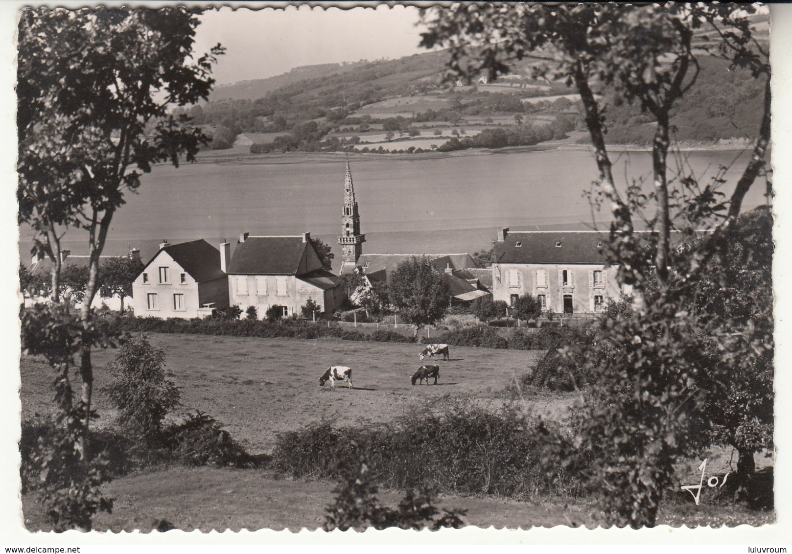 29 - Trégarvan - Pointe De Langoat En Rosnoën - Other & Unclassified