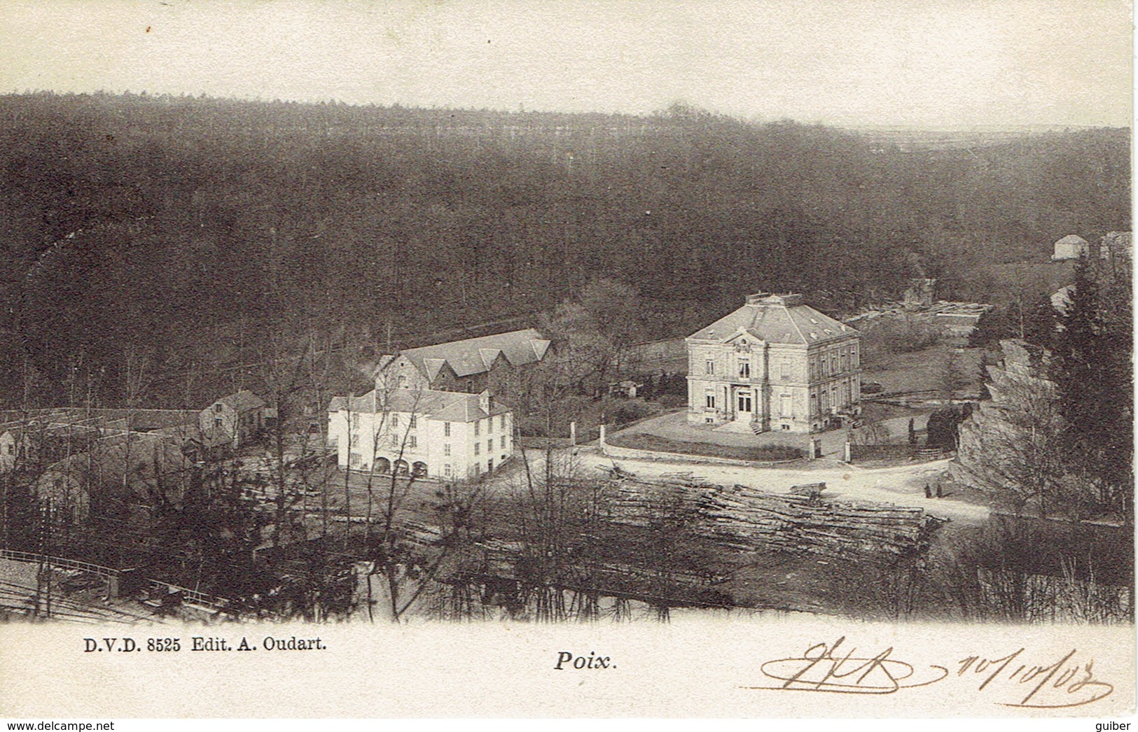 Poix Saint Hubert Panorama De La Gare (grumes) DVD 8525 Oudart 1903 - Saint-Hubert