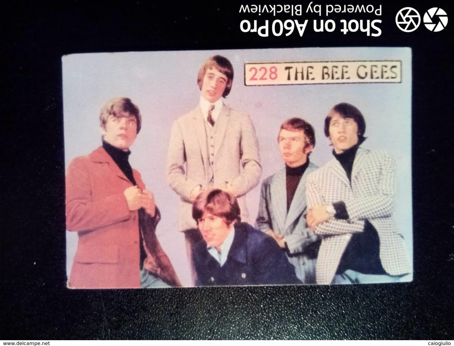 THE BEE GEES - CANTANTI E SPETTACOLO 1968, PANINI - BISVALIDA N° 228 REC. - Other & Unclassified