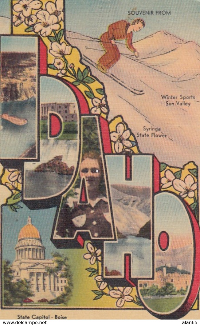 Idaho Large Letter Greetings, Skiing State Capitol Building, C1930s/40s Linen Postcard - Sonstige & Ohne Zuordnung