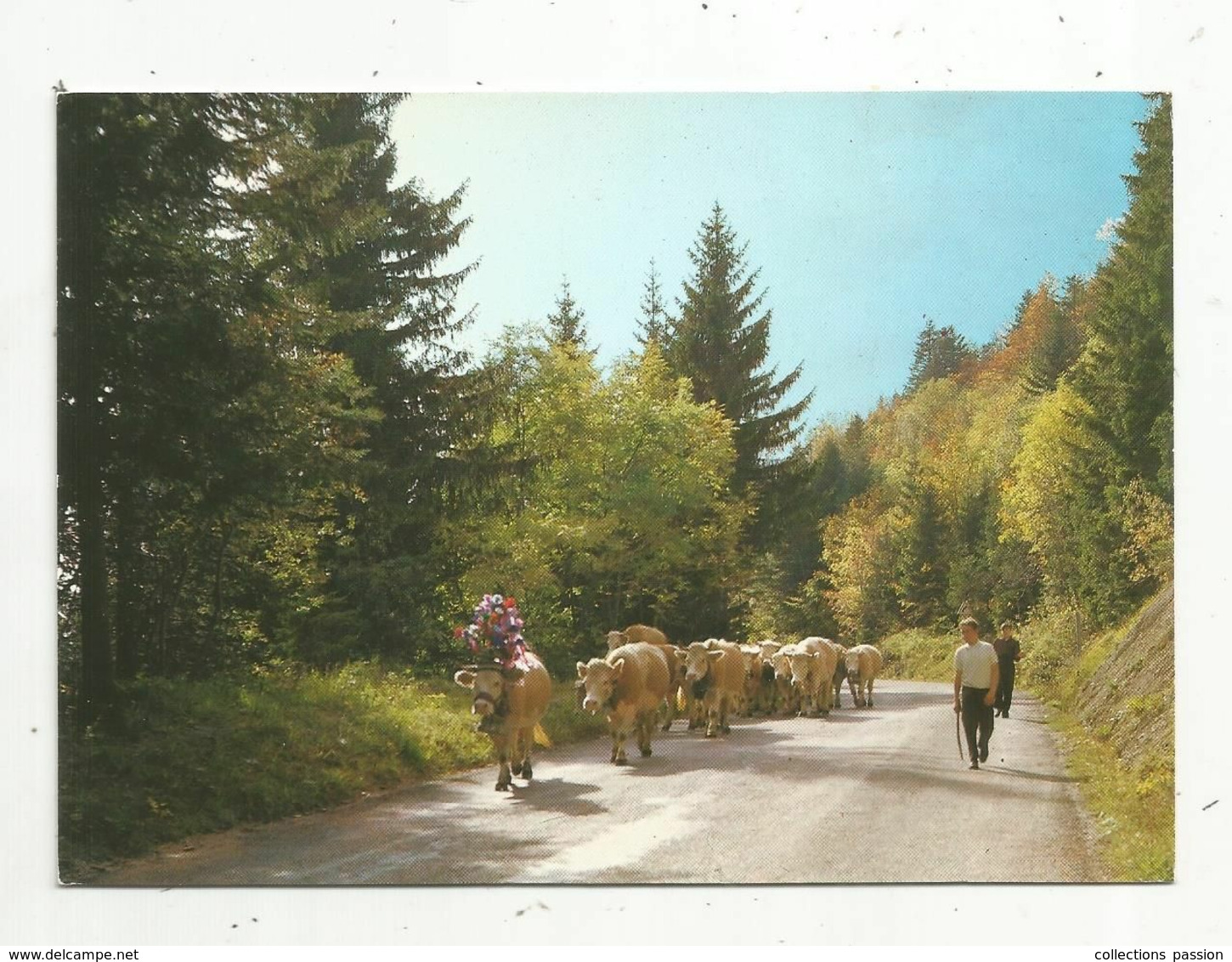 Cp ,  Agriculture , élevage , Vaches , La Franche Comté Pittoresque... RETOUR DES PATURAGES , écrite - Allevamenti