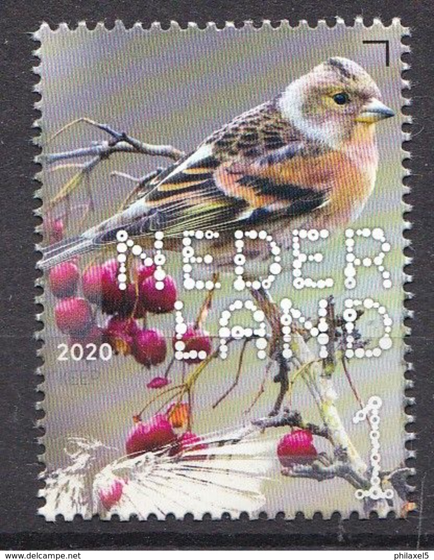 Nederland - 14 September 2020 - Beleef De Natuur - Bos- En Heidevogels - Keep - MNH - Pájaros Cantores (Passeri)
