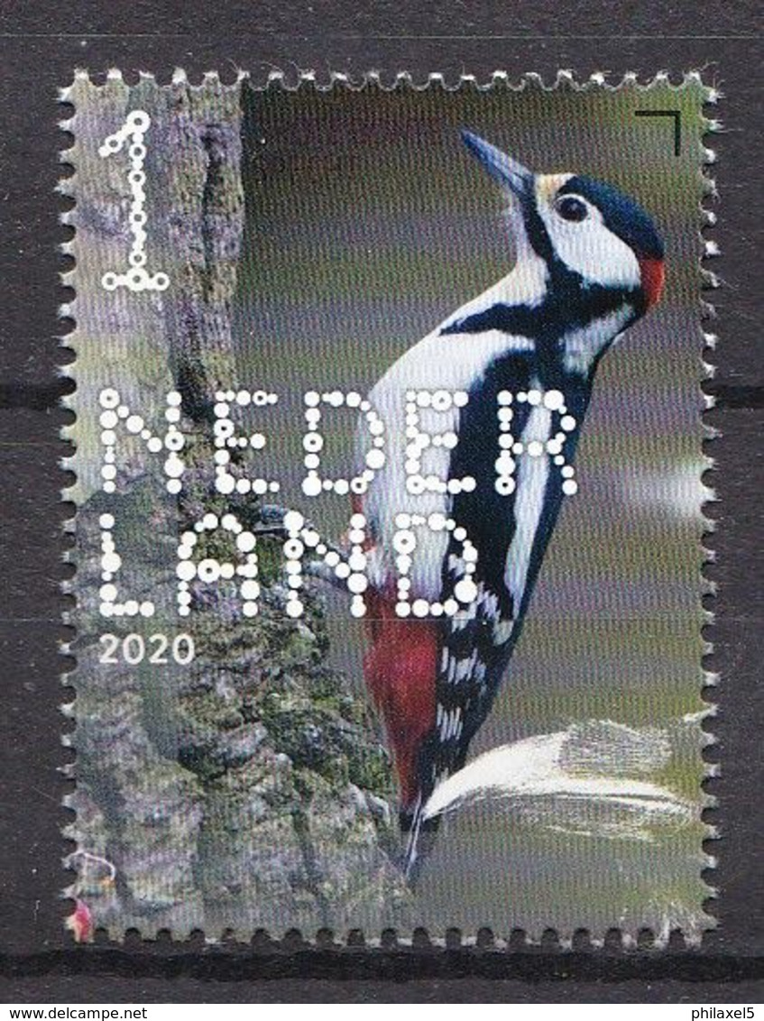 Nederland - 14 September 2020 - Beleef De Natuur - Bos- En Heidevogels - Grote Bonte Specht - MNH - Picchio & Uccelli Scalatori