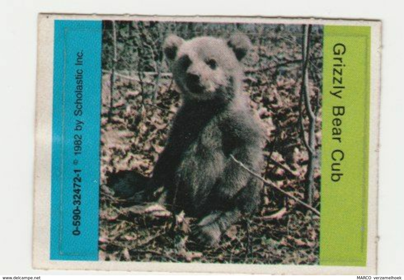 Grizzly Bear Club 1982 By Scholastic Inc. - Other & Unclassified