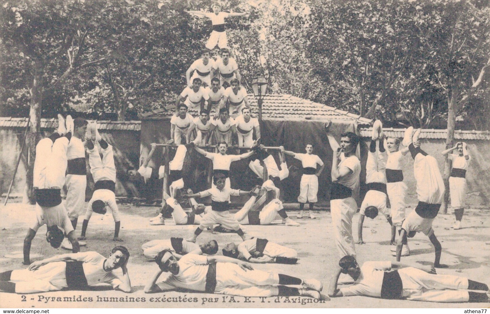 84 - AVIGNON GYMNASTIQUE / PYRAMIDES HUMAINES EXECUTEES PAR L'A.E.T. D'AVIGNON - Avignon