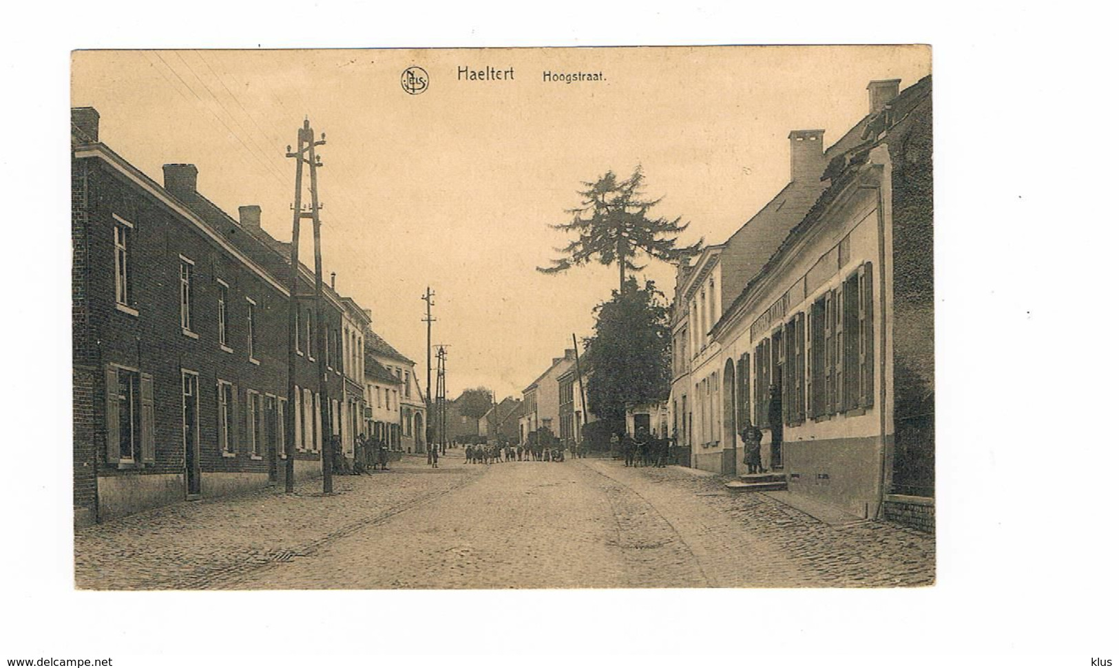 HAALTERT - HAELTERT - DE HOOGSTRAAT ZELDZAAM - Haaltert